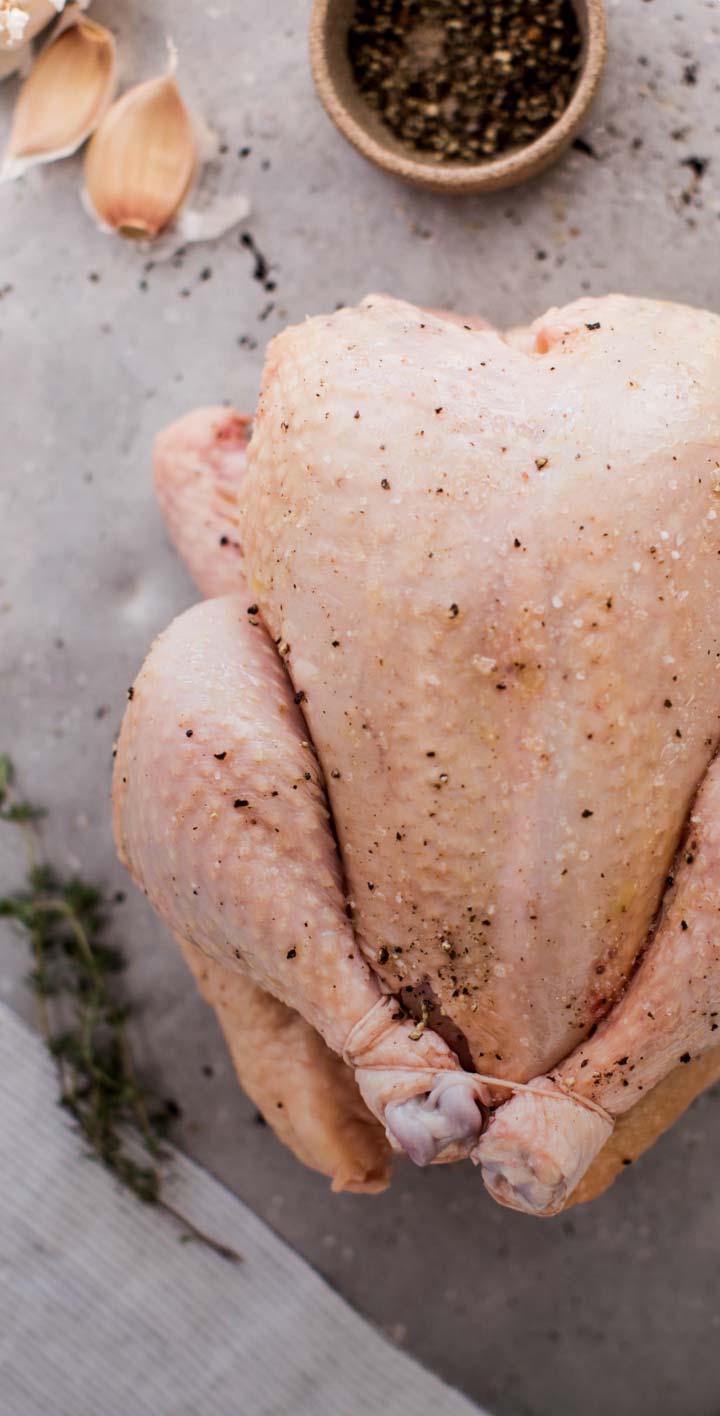 Pasture-raised chicken