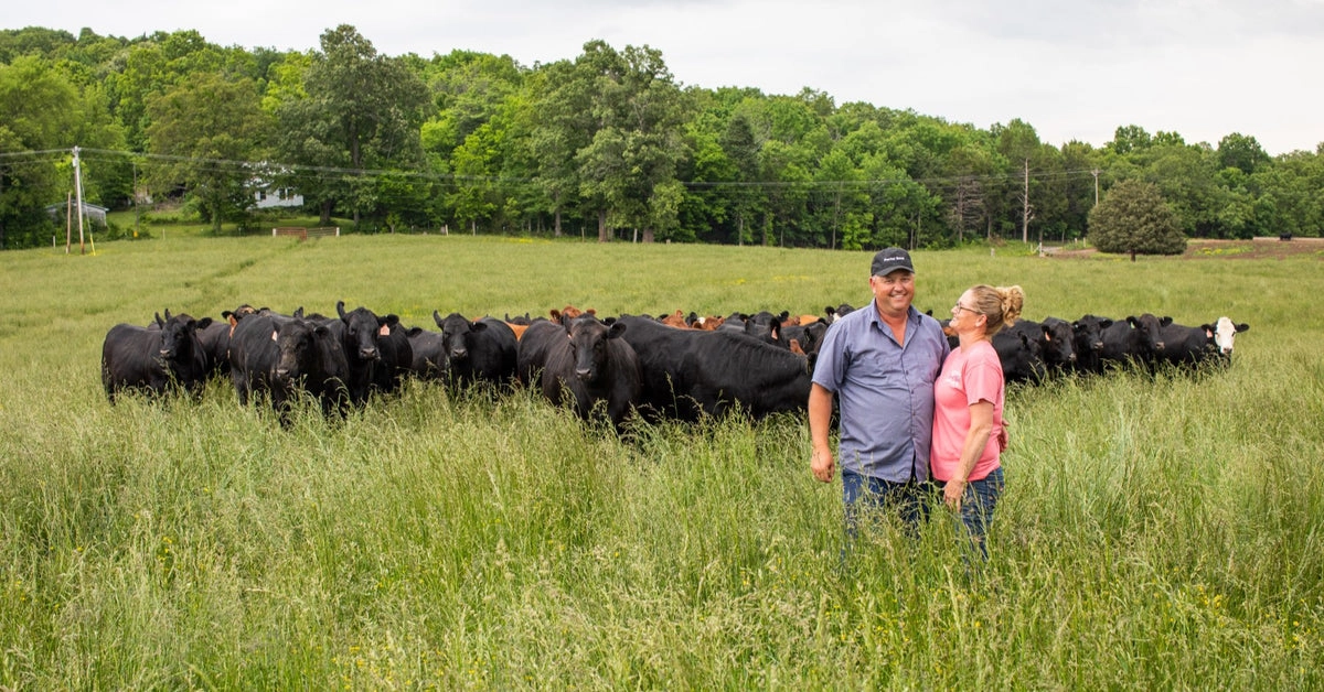 Farmers standing in green pasture with herd of beef cattle